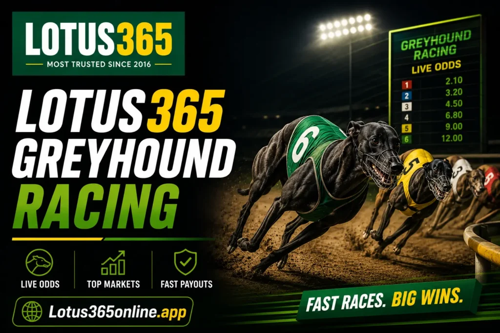 Lotus365 Sportsbook 8 Greyhound Racing